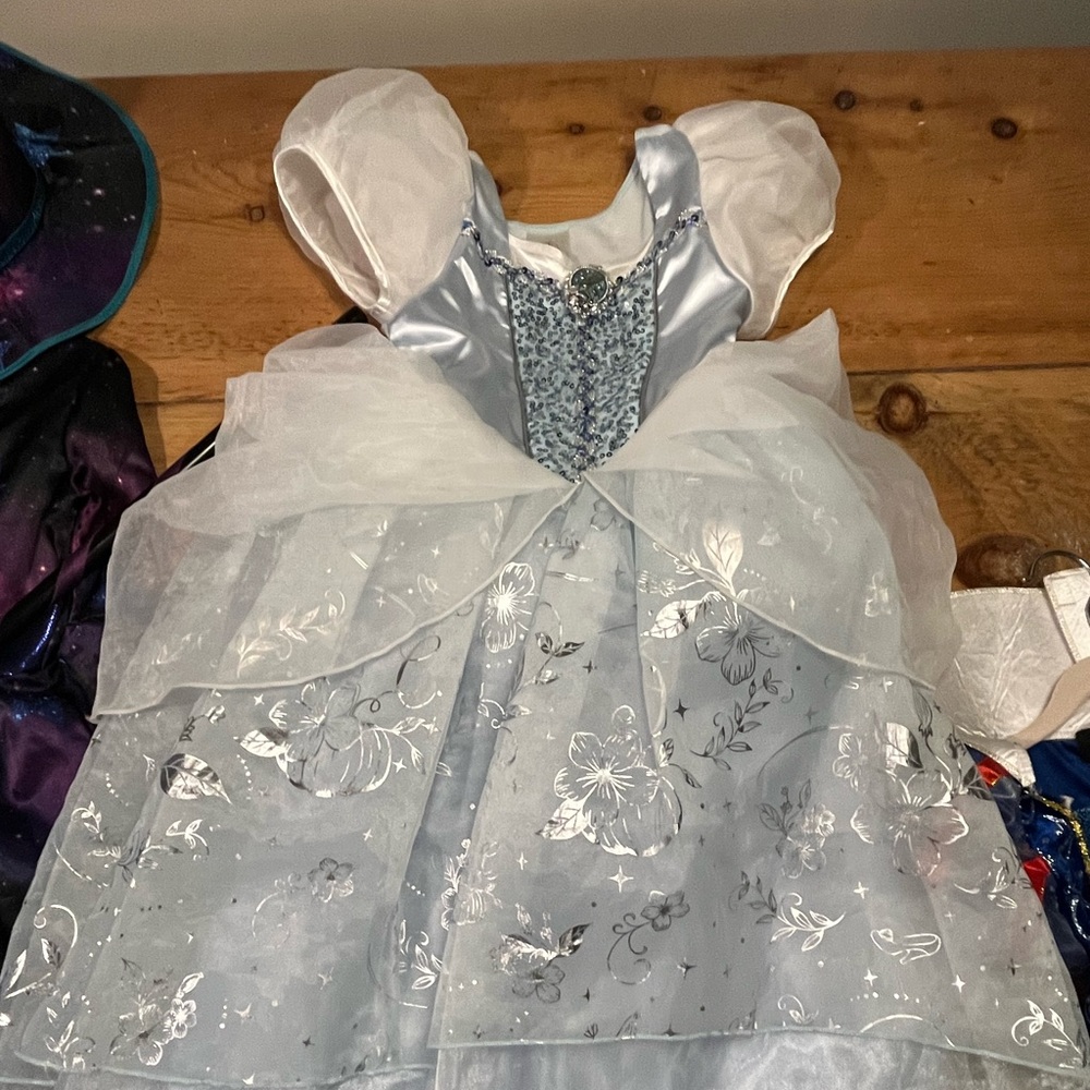 Disney Costumes
